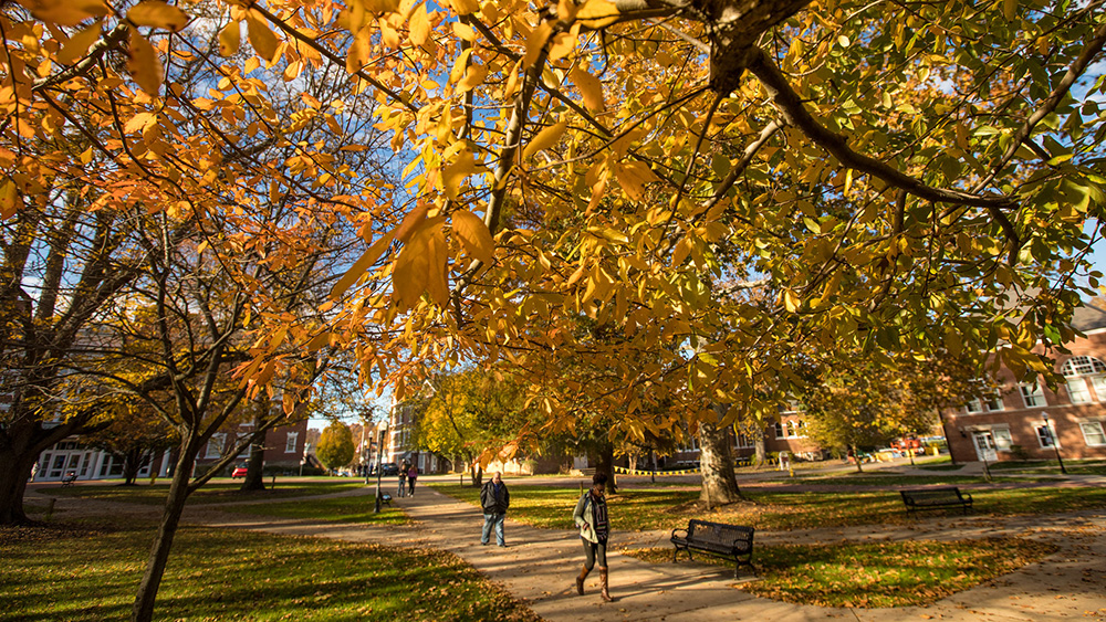 Campus in the Fall.