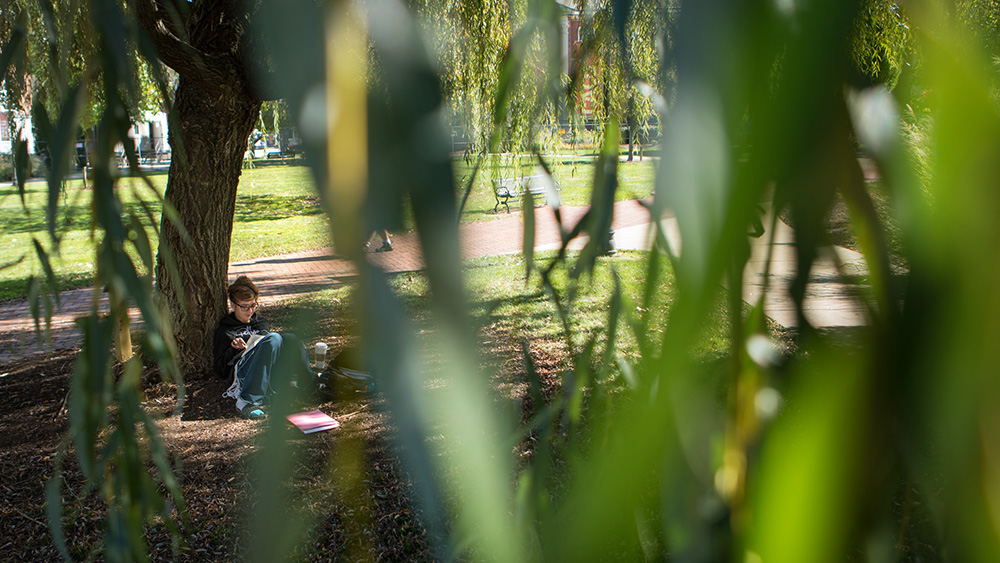 A student studies under a tree on campus.