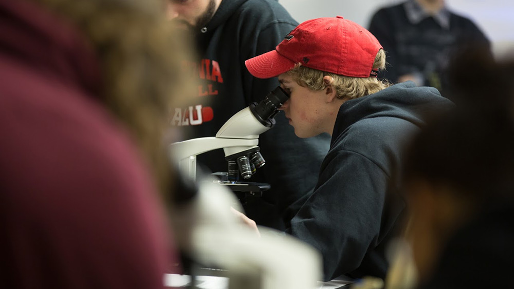 A PennWest California student looks into a microscope.