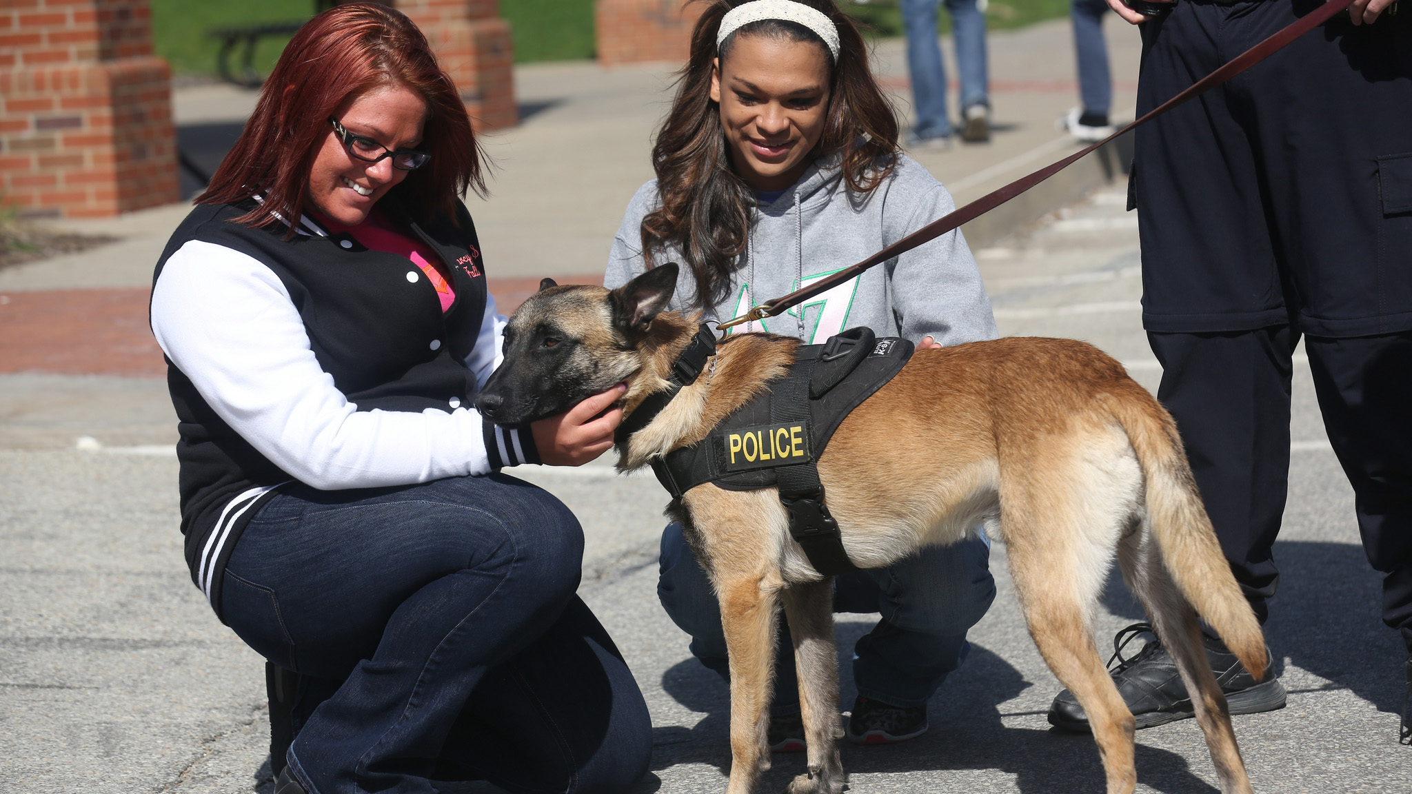 Student pet a K-9 officer on campus.