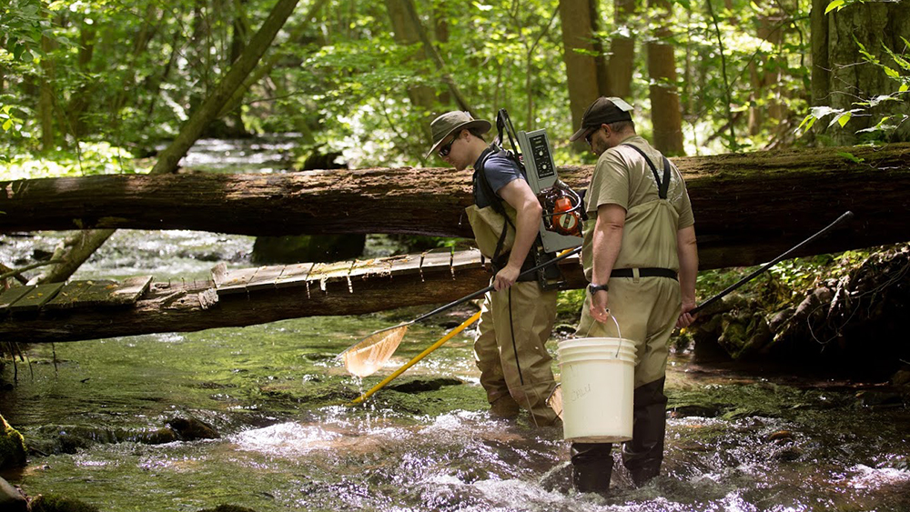 A California military student conducts biology field-work.
